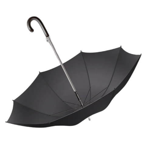 Umbrella Frame